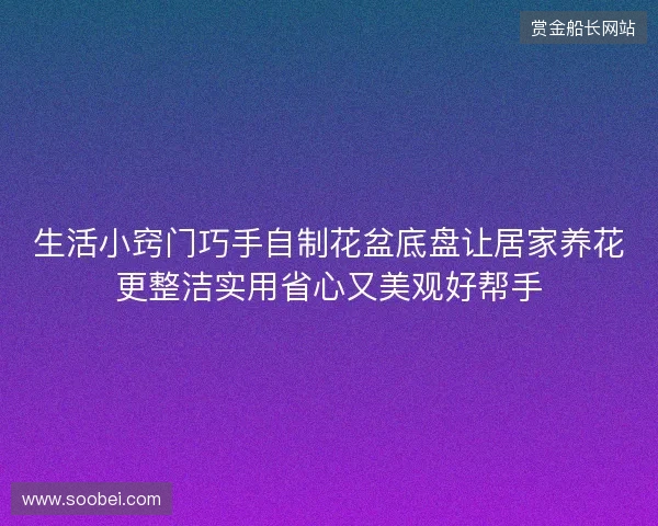 生活小窍门巧手自制花盆底盘让居家养花更整洁实用省心又美观好帮手